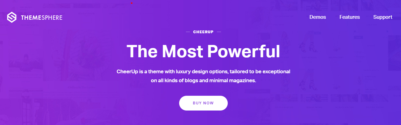 CHEERUP WordPress Themes for Blogs