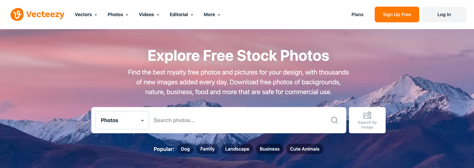 Download-Free-Stock-Photos-Pictures-Images-Vecteezy