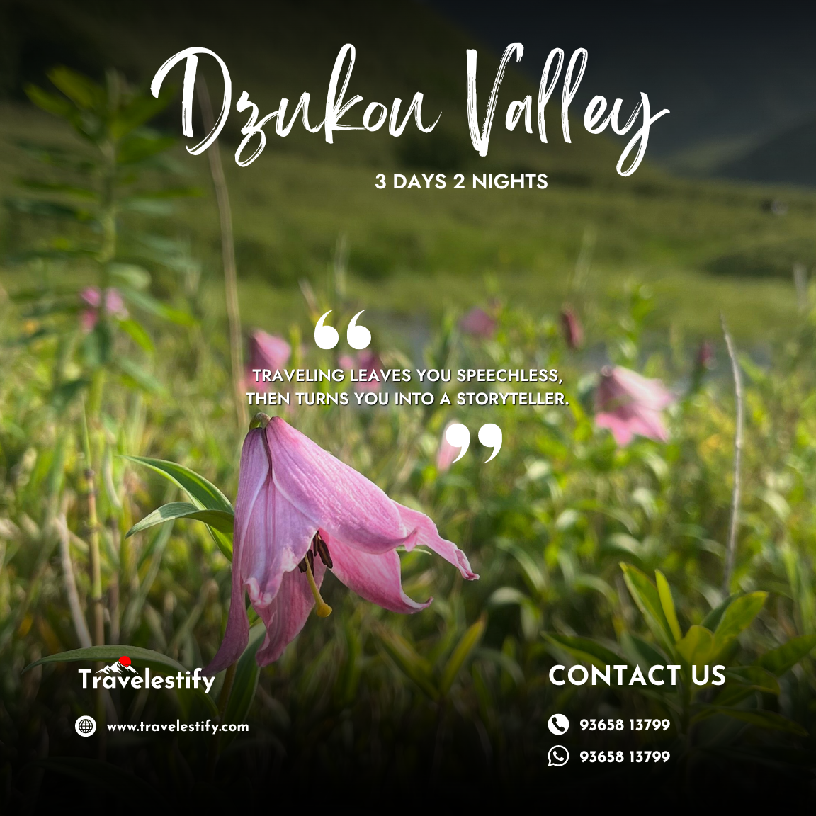 Dziikou Valley Trek - travelestify