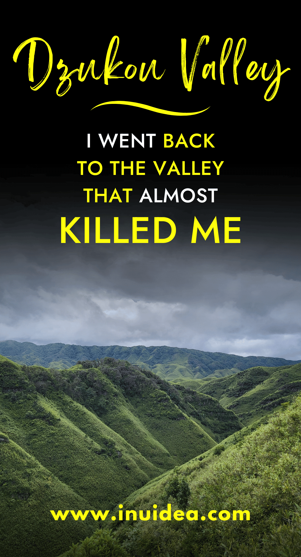 Dzukou Valley Trek - I Went Back to the Valley That Almost Killed Me