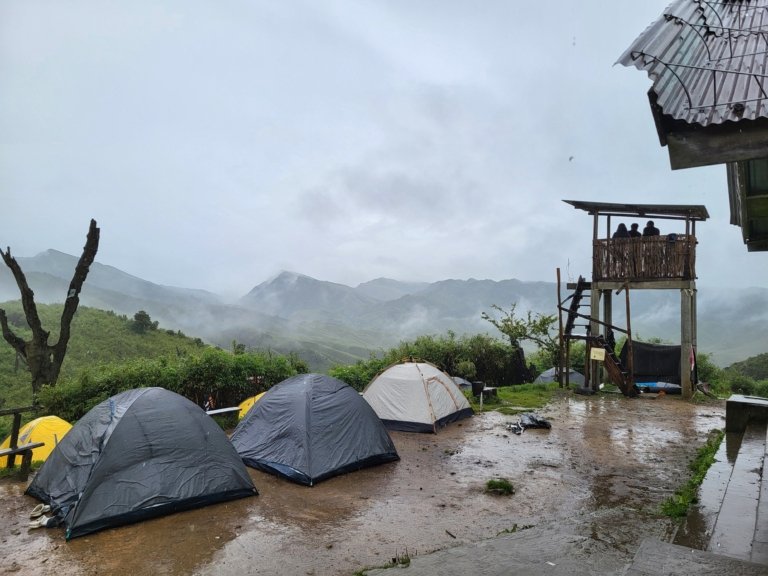 Dzukou Valley Trek - I Went Back to the Valley That Almost Killed Me