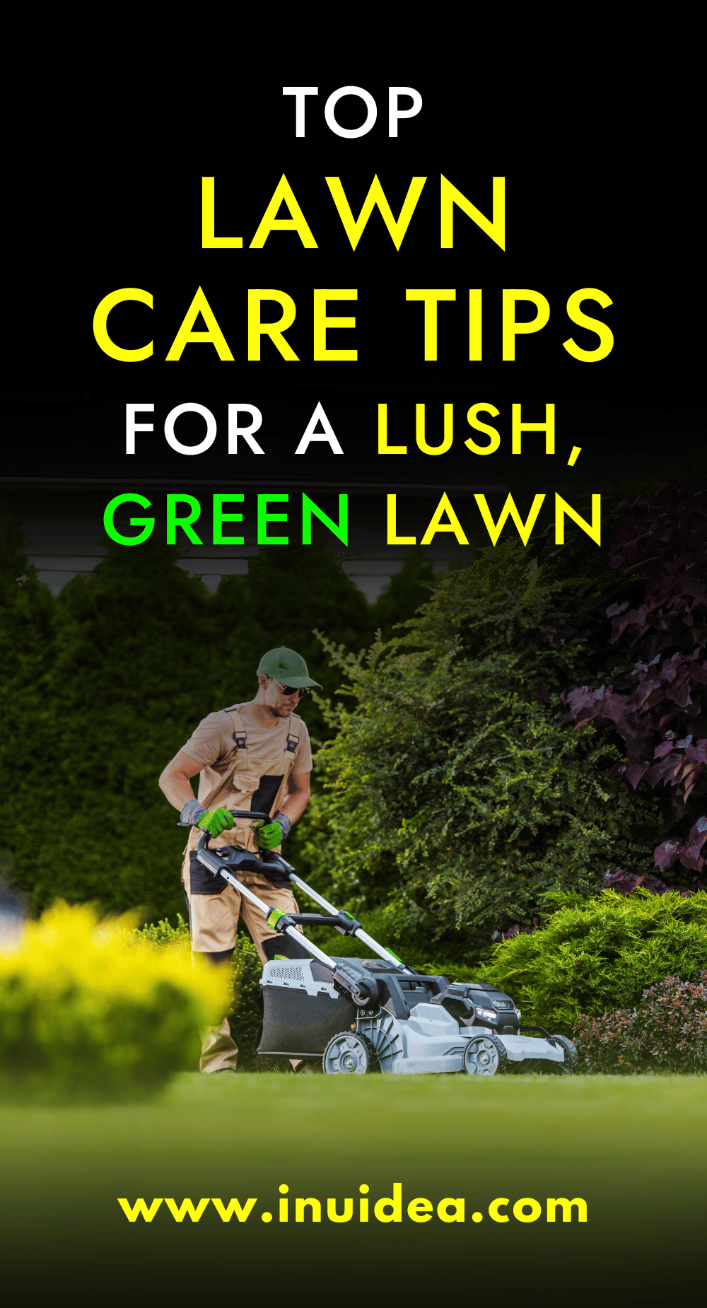 Top Lawn Care Tips for A Lush, Green Lawn